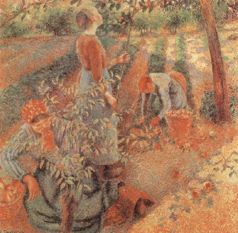 Camille Pissarro Apple picking France oil painting art